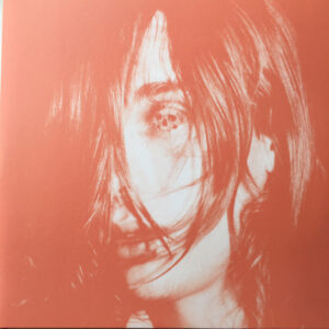 Deerhunter ‎– Microcastle / Weird Era Cont.