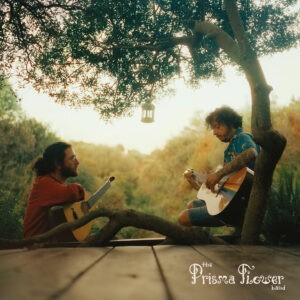 The Prisma Flower Band - The Prisma Flower Band