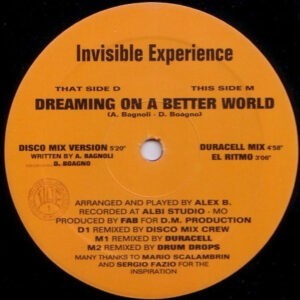 Invisible Experience ‎– Dreaming On A Better World (Used Vinyl)