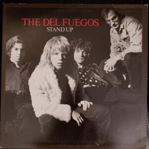 The Del Fuegos ‎– Stand Up (Used Vinyl)