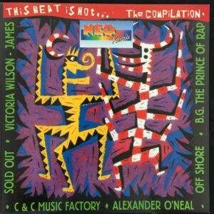 Various ‎– This Beat Is Hot...The Compilation (Used Vinyl)