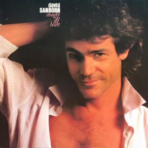 David Sanborn ‎– Straight To The Heart (Used Vinyl)