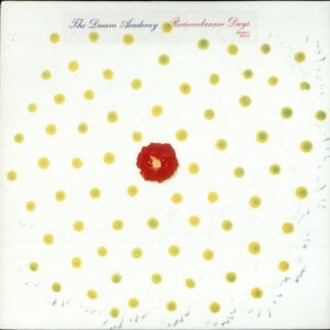 The Dream Academy ‎– Remembrance Days (Used Vinyl)