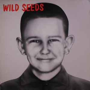 Wild Seeds ‎– Brave, Clean + Reverent (Used Vinyl)