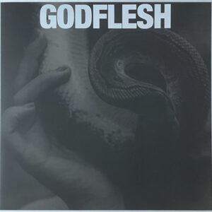 Godflesh ‎– Purge