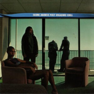 Skunk Anansie ‎– Post Orgasmic Chill (CD)