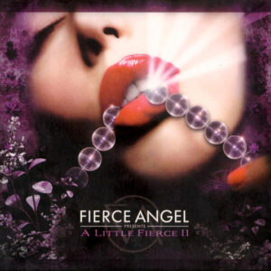 Various ‎– A Little Fierce II (CD)