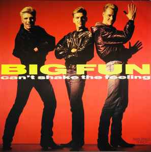 Big Fun ‎– Can't Shake The Feeling (Used Vinyl) (12")