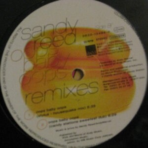 Sandy Reed ‎– Oops Baby Oops (Remixes) (Used Vinyl) (12")