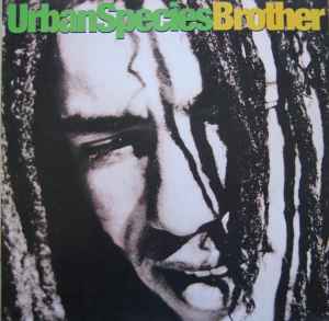 Urban Species ‎– Brother (Used Vinyl) (12")