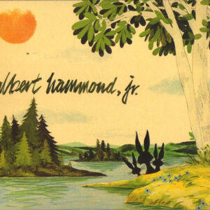 Albert Hammond, Jr. ‎– Yours To Keep