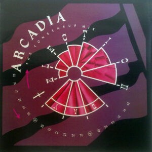 Arcadia ‎– Election Day (The Consensus Mix) (Used Vinyl) (12'')