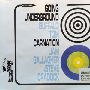 Buffalo Tom / Liam Gallagher & Steve Cradock ‎– Going Underground / Carnation (Used CD)