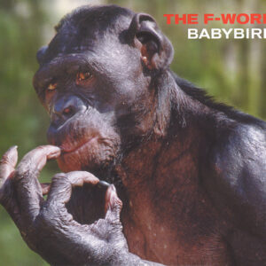 Babybird ‎– The F-Word (Used CD)