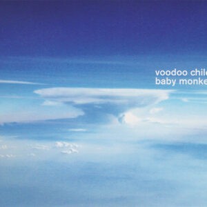 Voodoo Child ‎– Baby Monkey (Used CD)