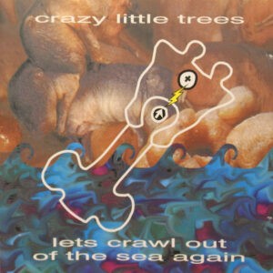 Crazy Little Trees ‎– Lets Crawl Out Of The Sea Again (Used CD)