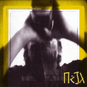 Παζλ ‎– Ο Άνθρωπος Που Δεν Γεννήθηκε Ποτέ (Used CD)