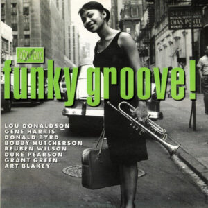 Various ‎– Funky Groove (Used CD)