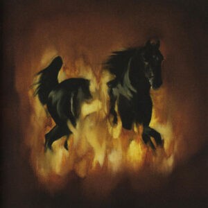 The Besnard Lakes ‎– The Besnard Lakes Are The Dark Horse (Used CD)