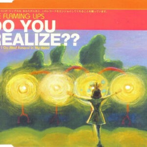 The Flaming Lips ‎– Do You Realize?? (Used CD)