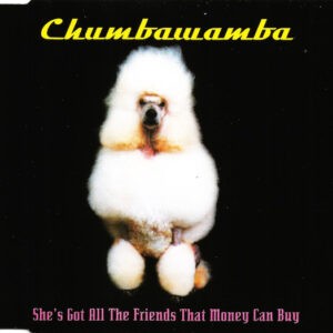 Chumbawamba ‎– She's Got All The Friends That Money Can Buy (Used CD)