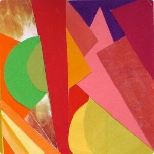 Neon Indian ‎– Psychic Chasms (Used CD)