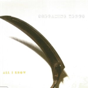 Screaming Trees ‎– All I Know (Used CD)