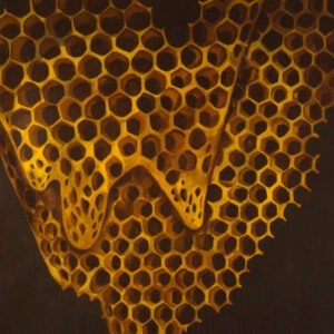 Telefon Tel Aviv ‎– Map Of What Is Effortless (CD)