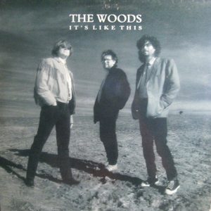 The Woods – It's Like This (Used Vinyl)