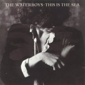 The Waterboys ‎– This Is The Sea (Used Vinyl)