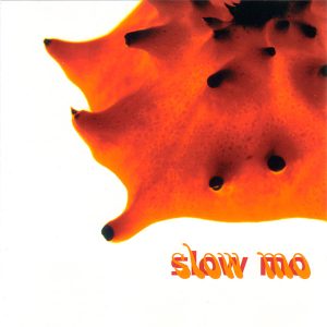 Various – Slow Mo (Used CD)