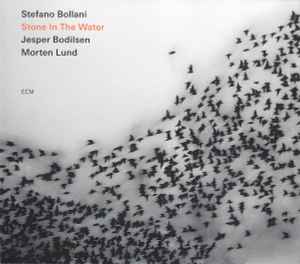 Stefano Bollani Trio ‎– Stone In The Water