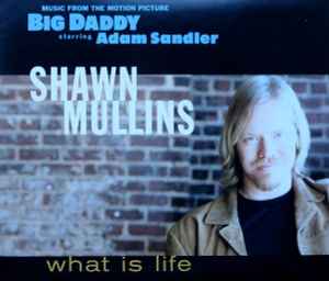 Shawn Mullins ‎– What Is Life